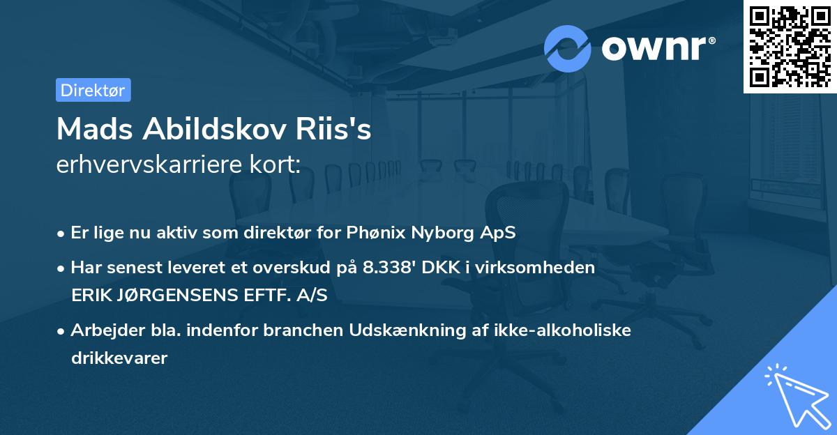 Mads Abildskov Riis's erhvervskarriere kort