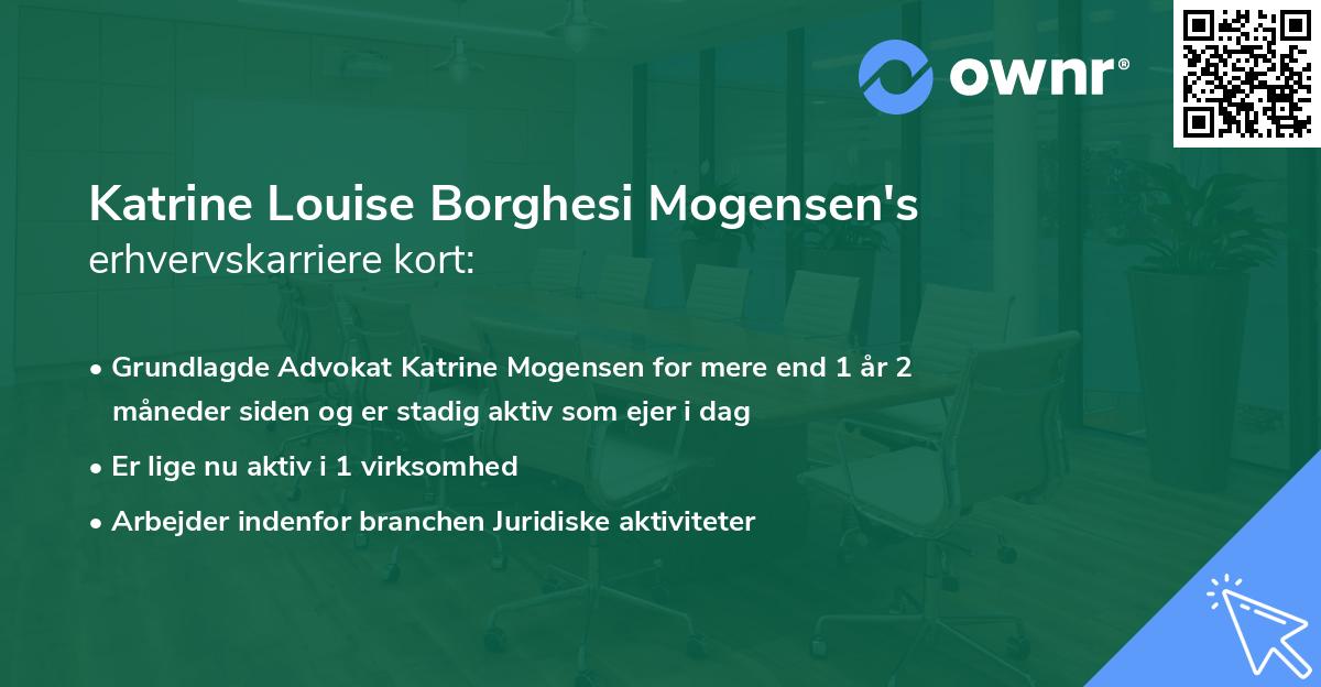Katrine Louise Borghesi Mogensen's erhvervskarriere kort