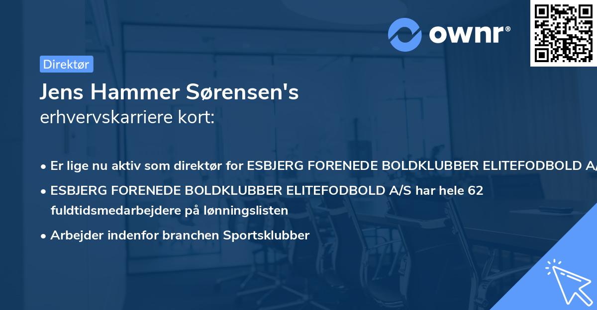 Jens Hammer Sørensen's erhvervskarriere kort