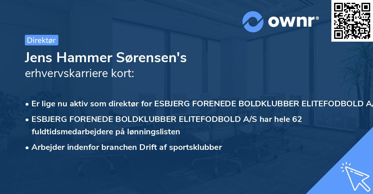 Jens Hammer Sørensen's erhvervskarriere kort