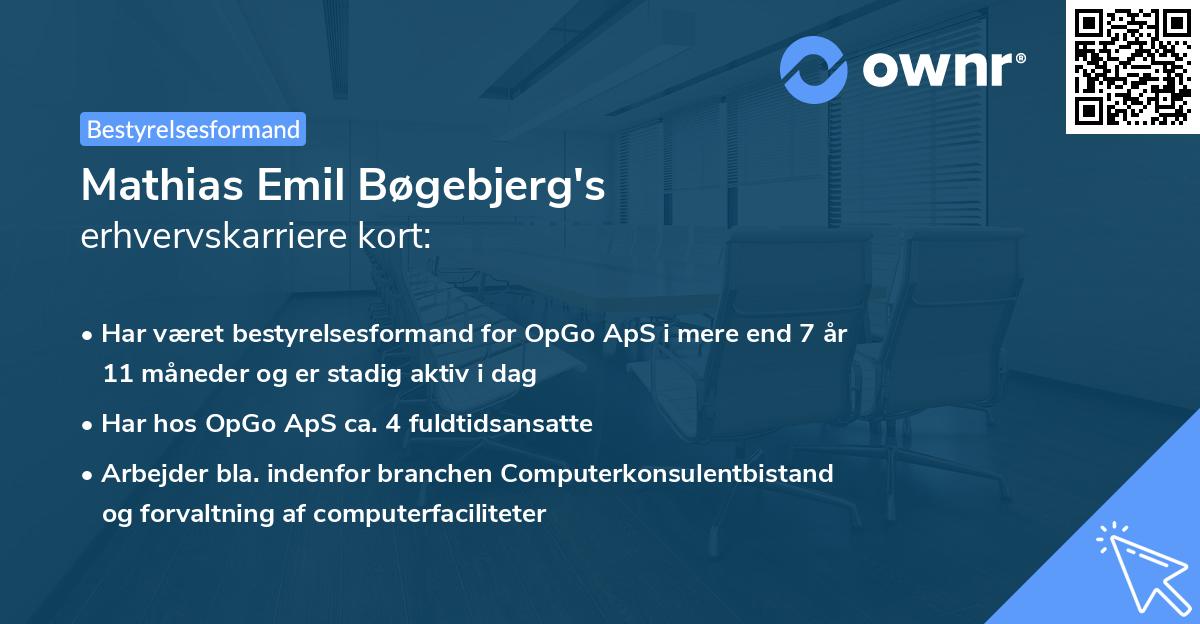 Mathias Emil Bøgebjerg's erhvervskarriere kort