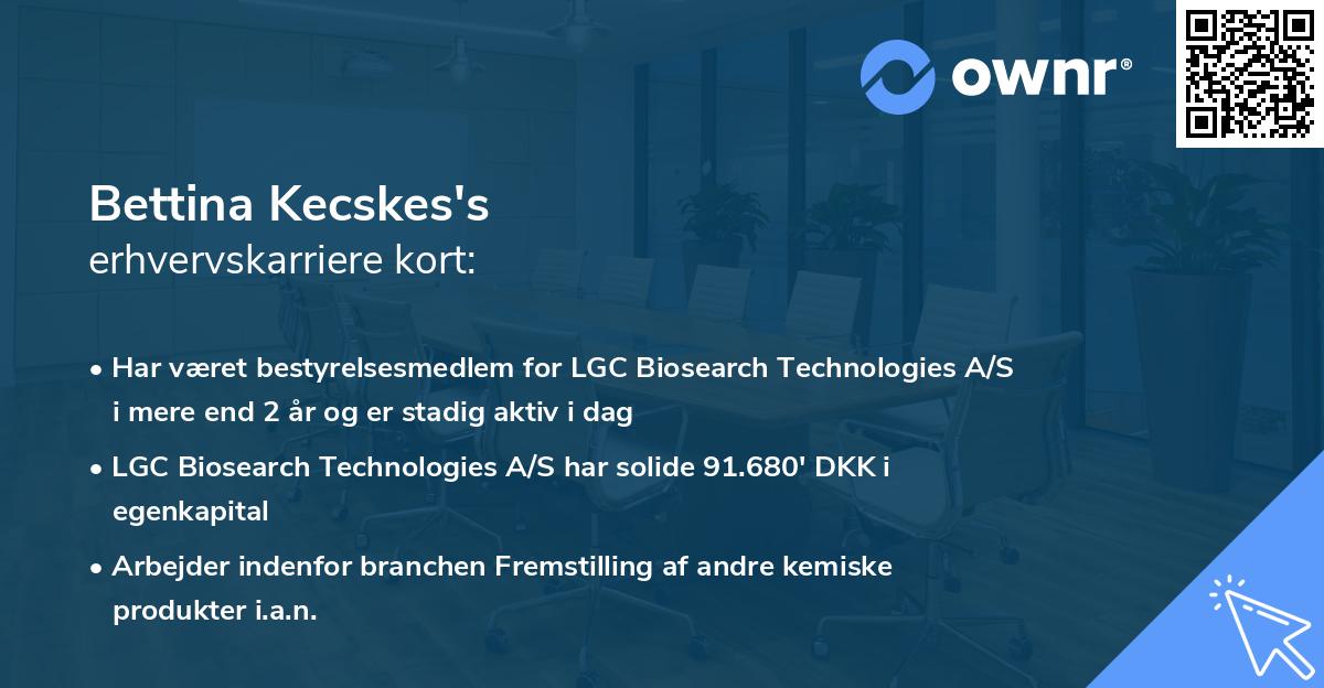 Bettina Kecskes's erhvervskarriere kort