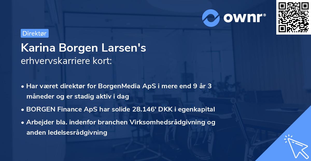 Karina Borgen Larsen's erhvervskarriere kort