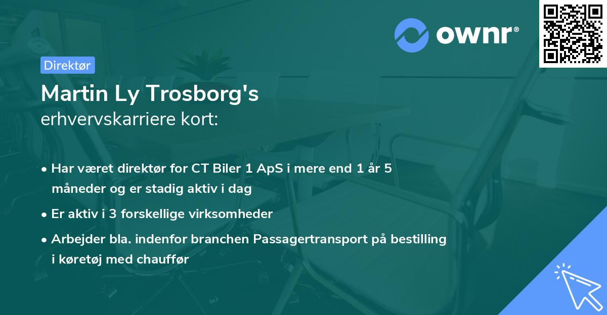 Martin Ly Trosborg's erhvervskarriere kort