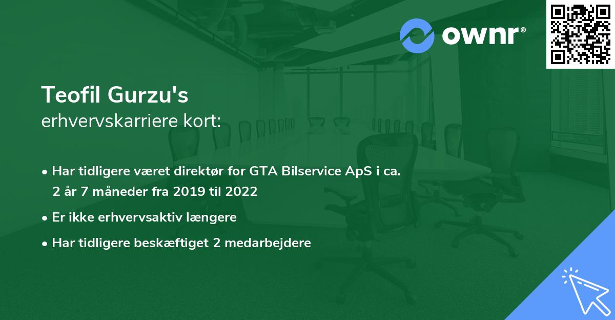 Teofil Gurzu's erhvervskarriere kort