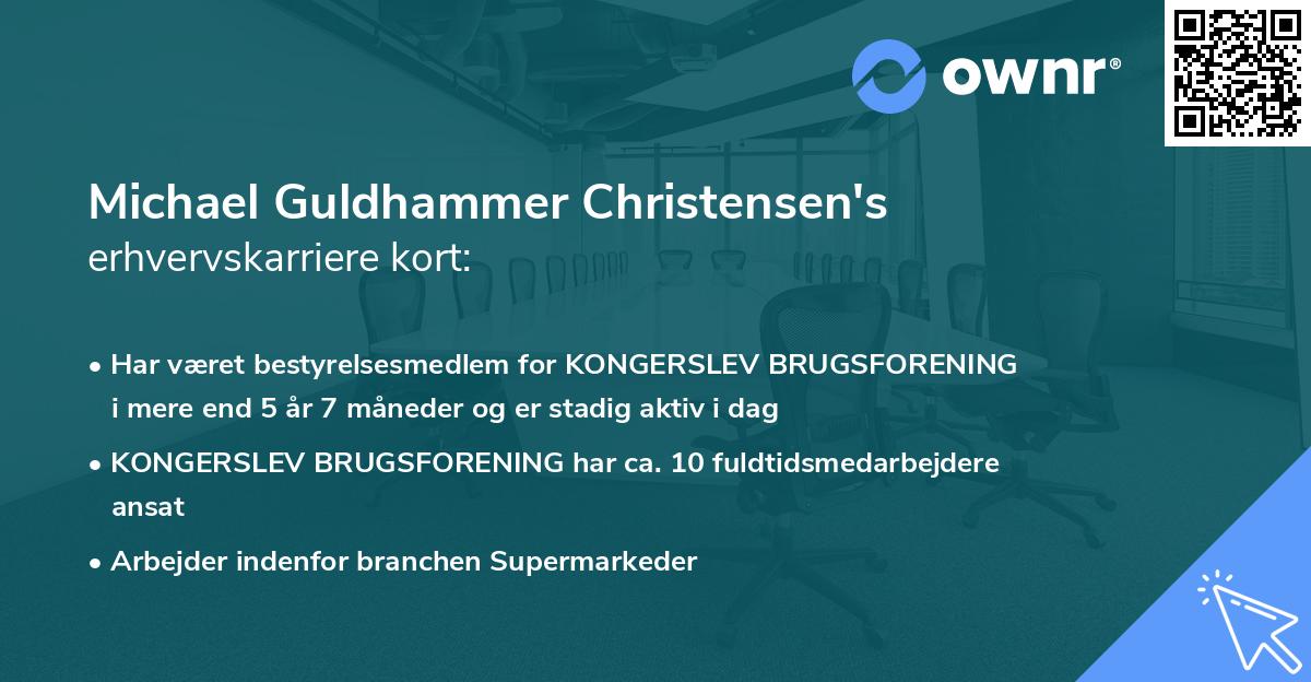 Michael Guldhammer Christensen's erhvervskarriere kort