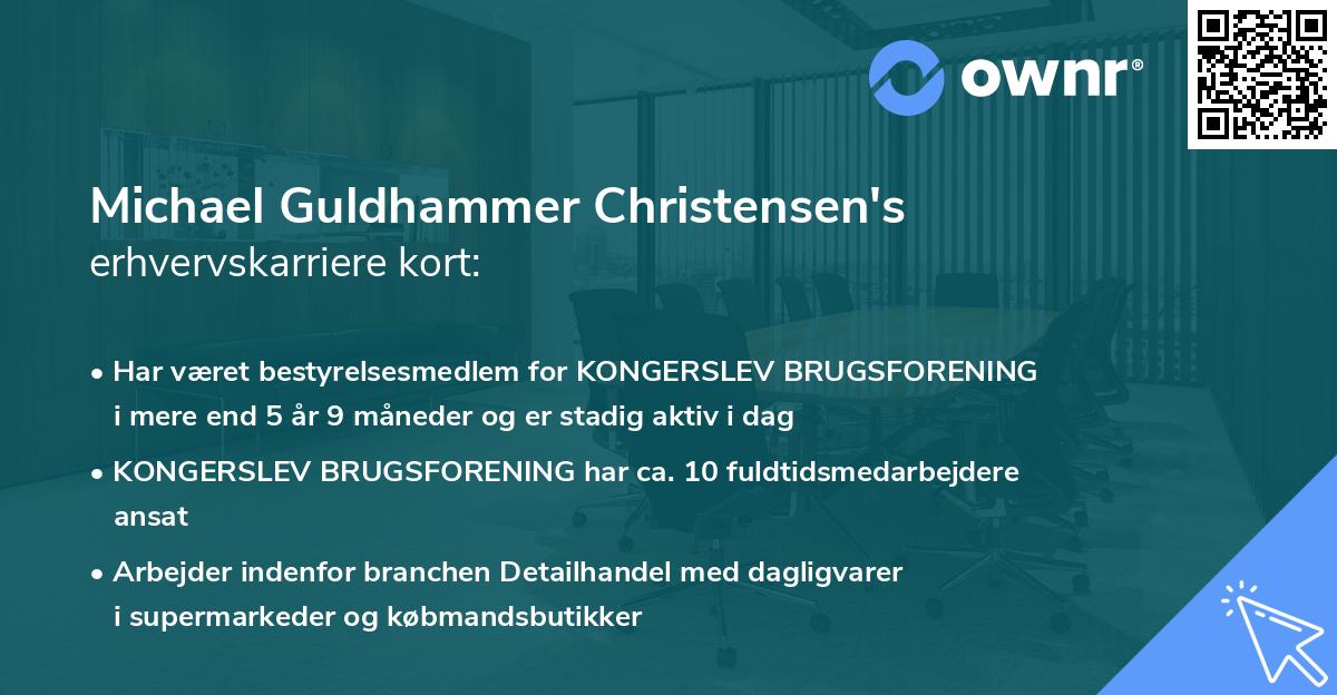 Michael Guldhammer Christensen's erhvervskarriere kort