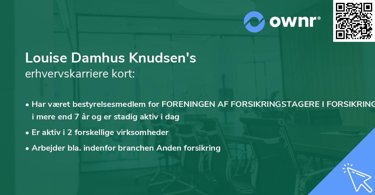 Louise Damhus Knudsen's erhvervskarriere kort