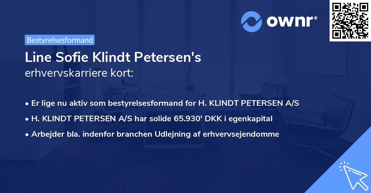 Line Sofie Klindt Petersen's erhvervskarriere kort