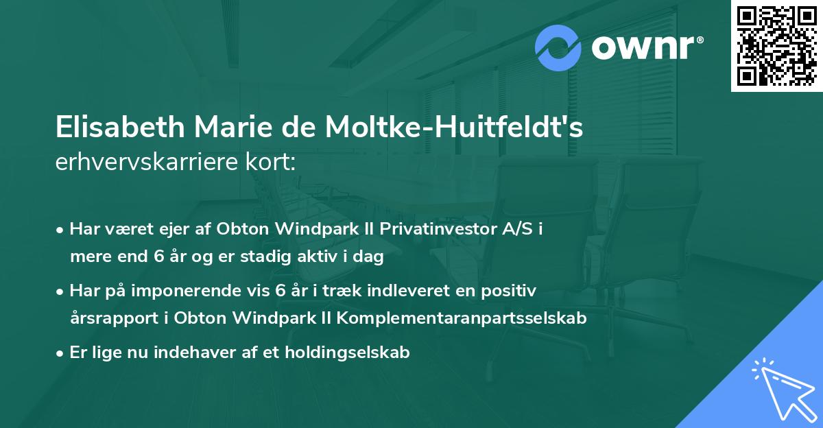 Elisabeth Marie de Moltke-Huitfeldt's erhvervskarriere kort