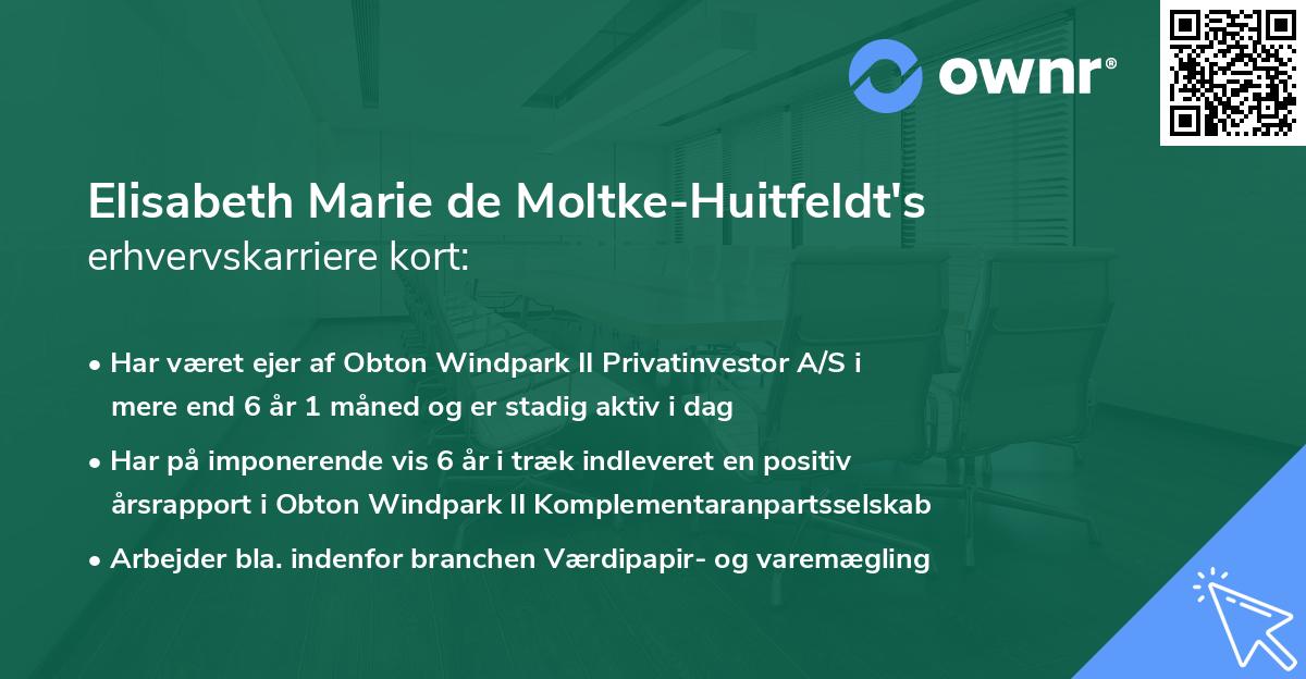 Elisabeth Marie de Moltke-Huitfeldt's erhvervskarriere kort