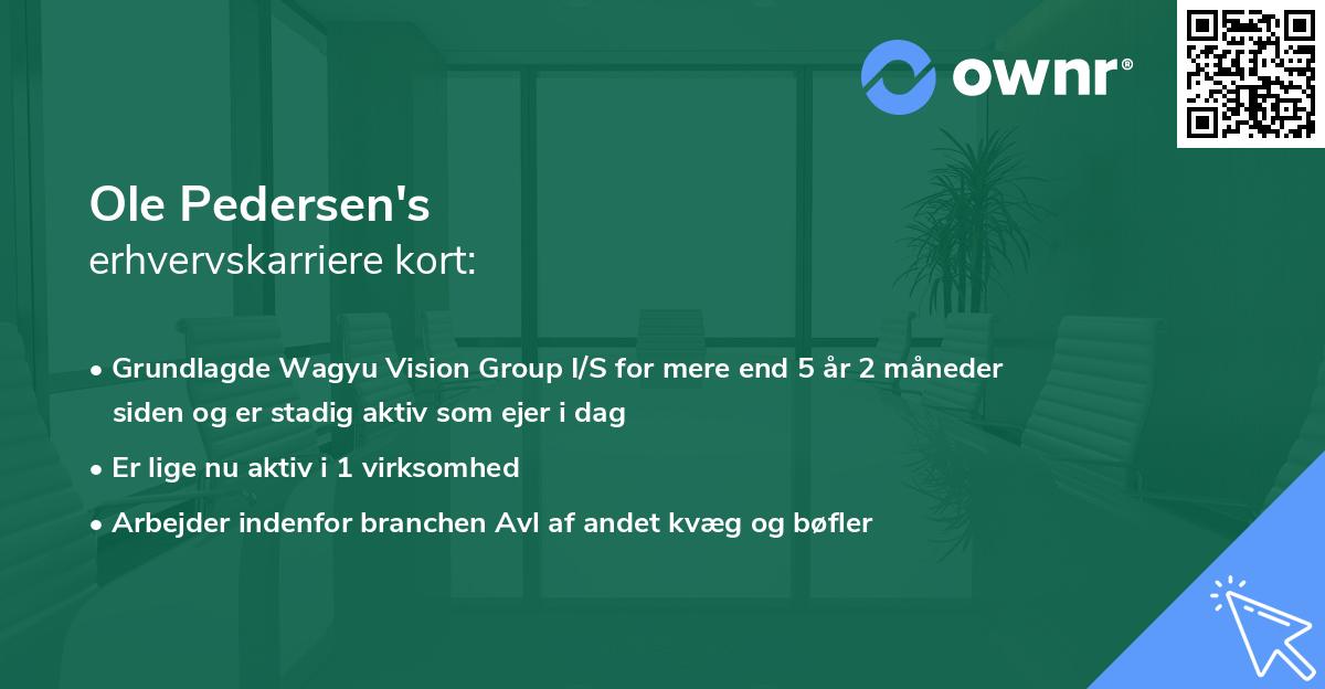 Ole Pedersen's erhvervskarriere kort
