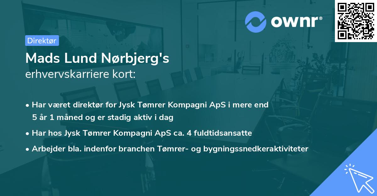 Mads Lund Nørbjerg's erhvervskarriere kort