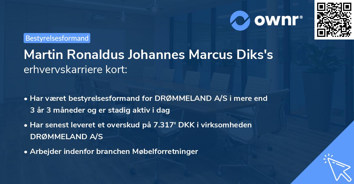 Martin Ronaldus Johannes Marcus Diks's erhvervskarriere kort