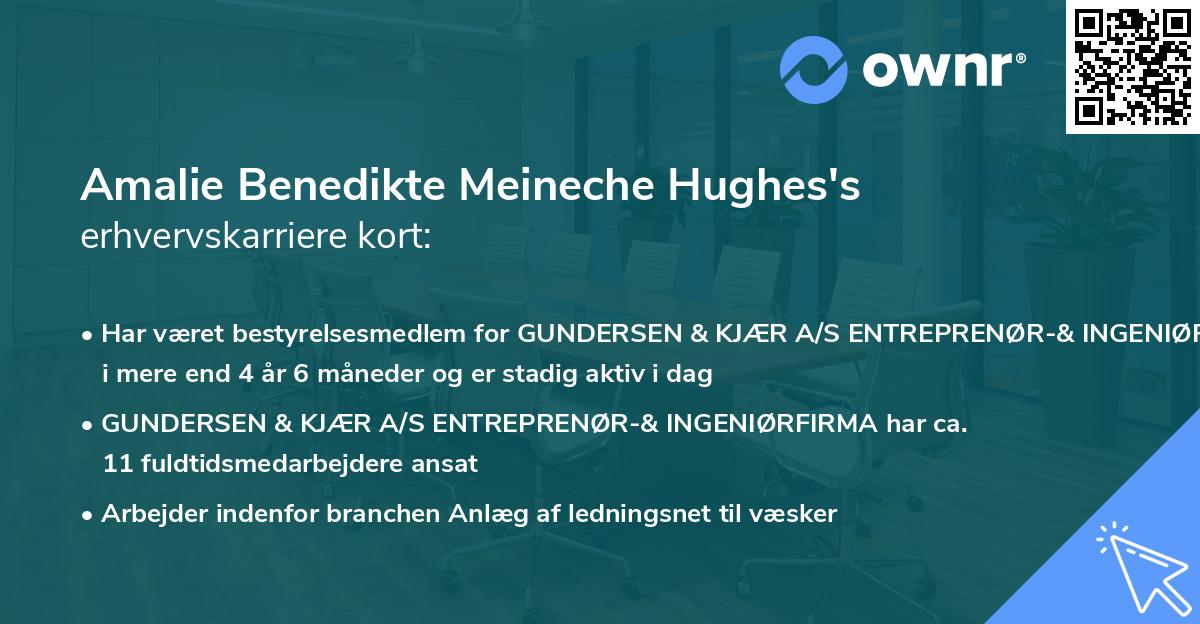 Amalie Benedikte Meineche Hughes's erhvervskarriere kort