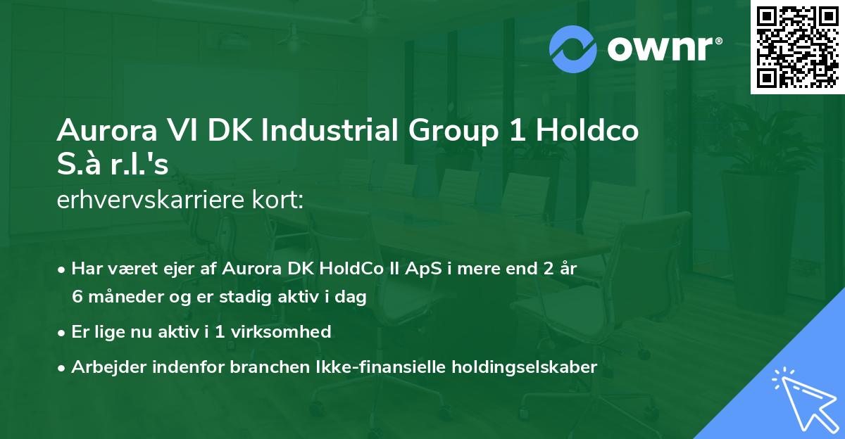 Aurora VI DK Industrial Group 1 Holdco S.à r.l.'s erhvervskarriere kort