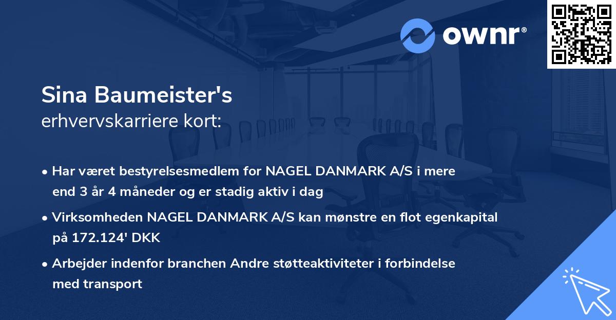 Sina Baumeister's erhvervskarriere kort