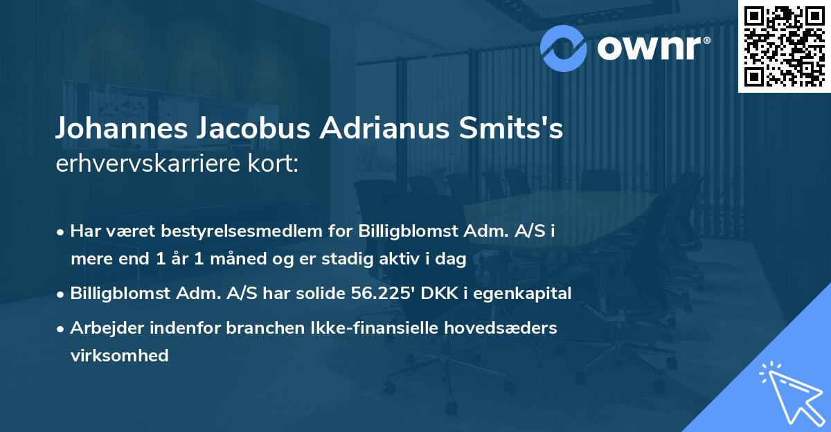 Johannes Jacobus Adrianus Smits's erhvervskarriere kort