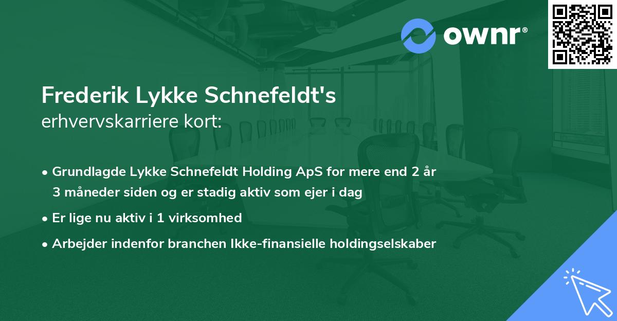 Frederik Lykke Schnefeldt's erhvervskarriere kort