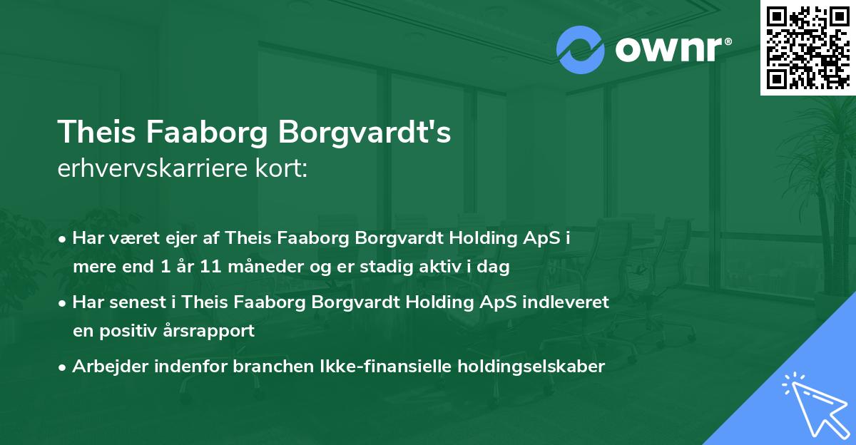 Theis Faaborg Borgvardt's erhvervskarriere kort