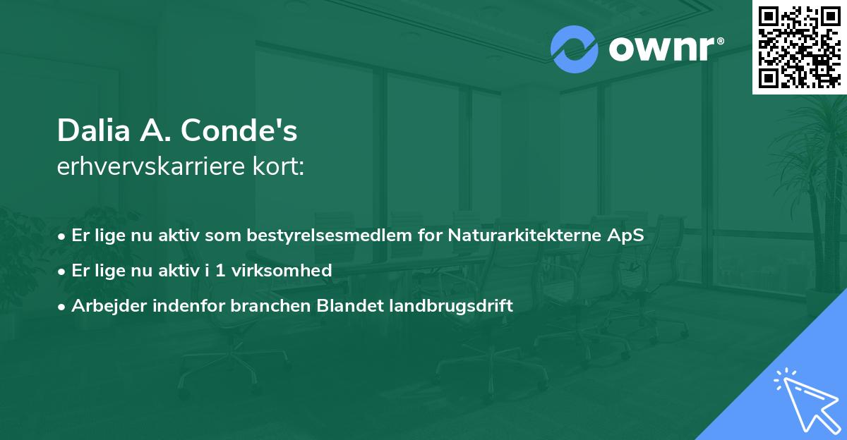 Dalia A. Conde's erhvervskarriere kort