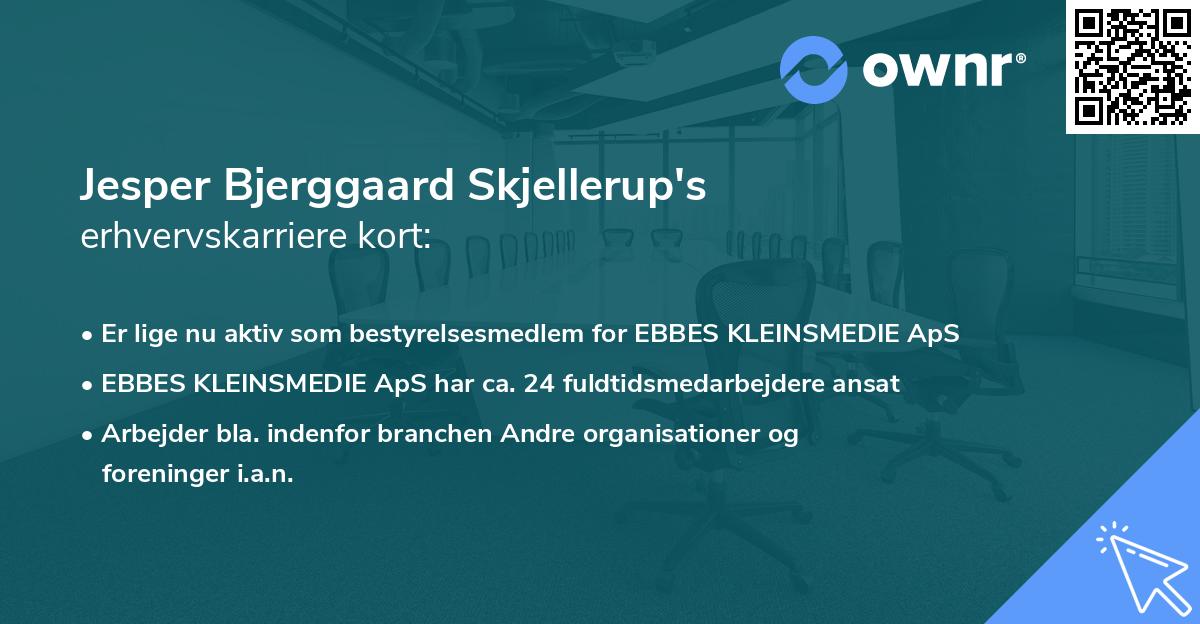 Jesper Bjerggaard Skjellerup's erhvervskarriere kort