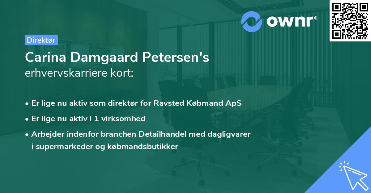 Carina Damgaard Petersen's erhvervskarriere kort