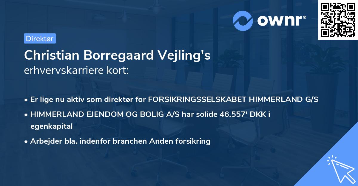 Christian Borregaard Vejling's erhvervskarriere kort