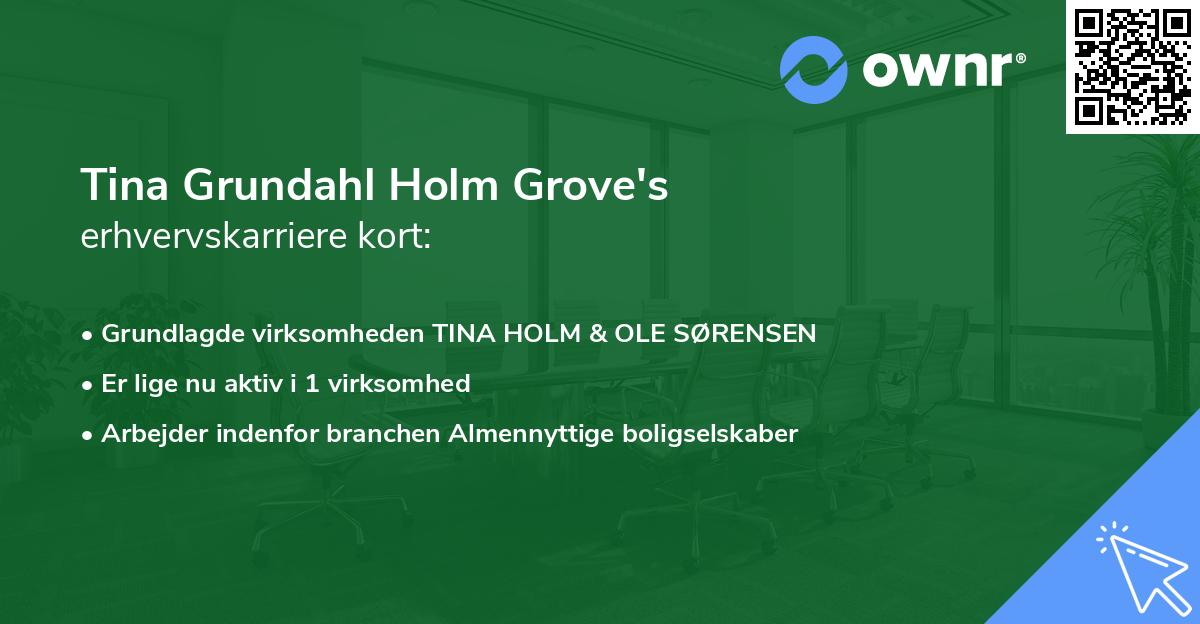 Tina Grundahl Holm Grove's erhvervskarriere kort