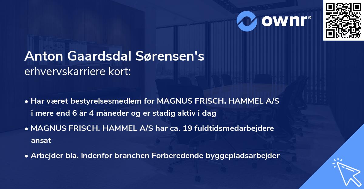 Anton Gaardsdal Sørensen's erhvervskarriere kort