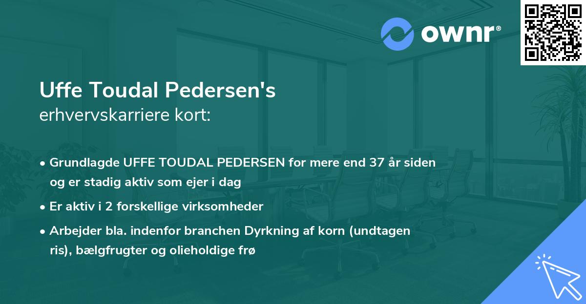 Uffe Toudal Pedersen's erhvervskarriere kort