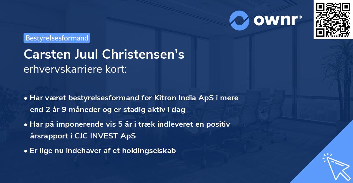 Carsten Juul Christensen's erhvervskarriere kort