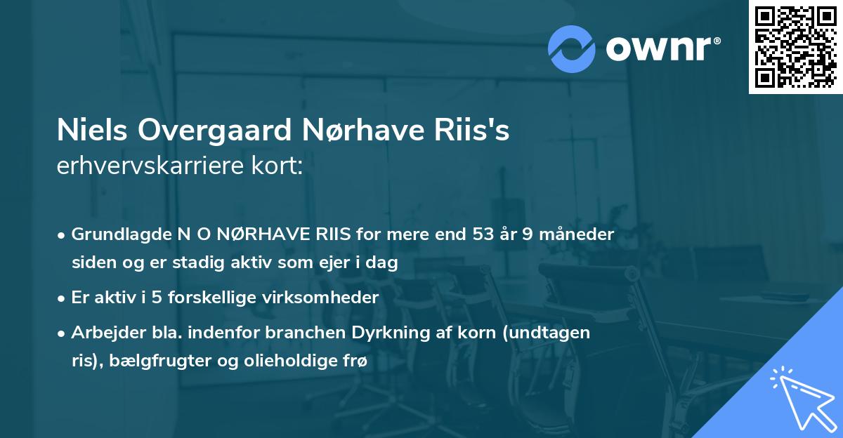 Niels Overgaard Nørhave Riis's erhvervskarriere kort