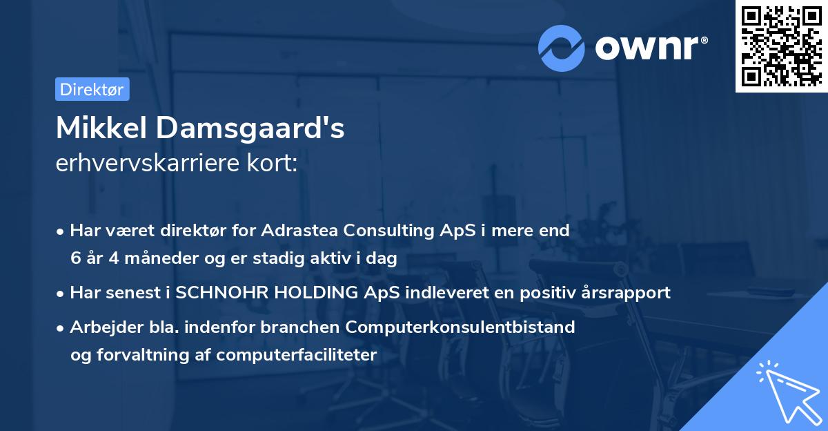 Mikkel Damsgaard's erhvervskarriere kort