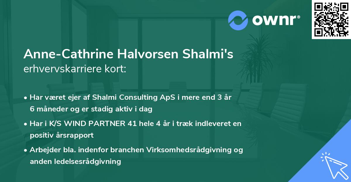 Anne-Cathrine Halvorsen Shalmi's erhvervskarriere kort