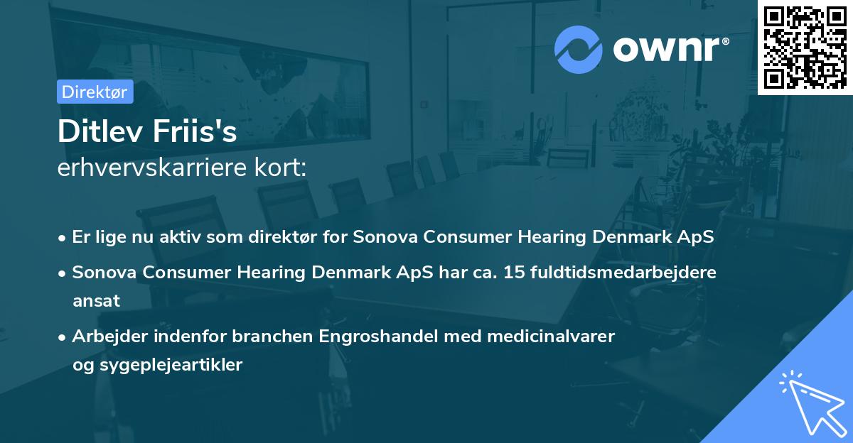 Ditlev Friis's erhvervskarriere kort