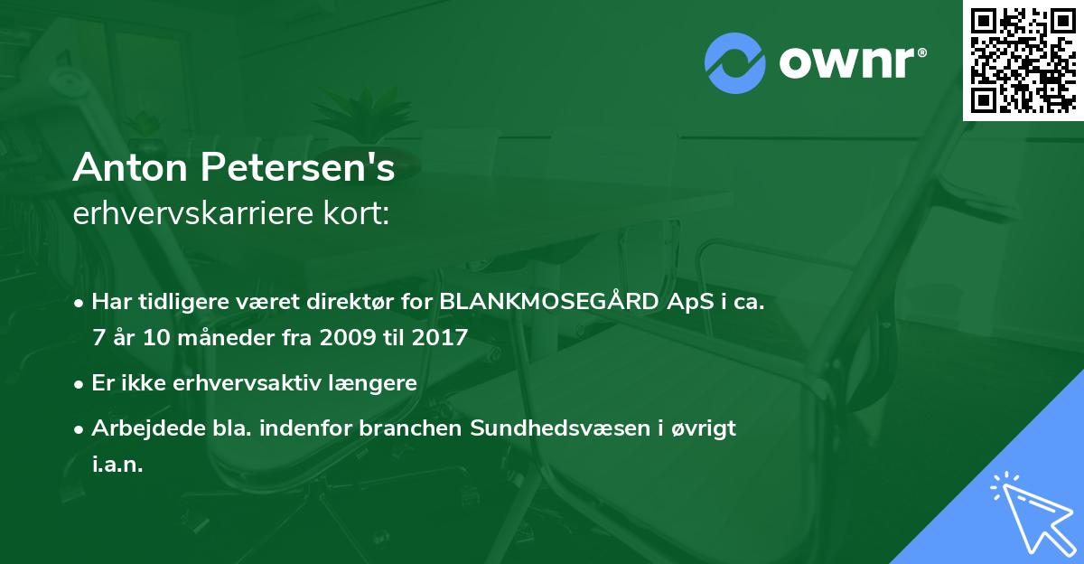 Anton Petersen's erhvervskarriere kort