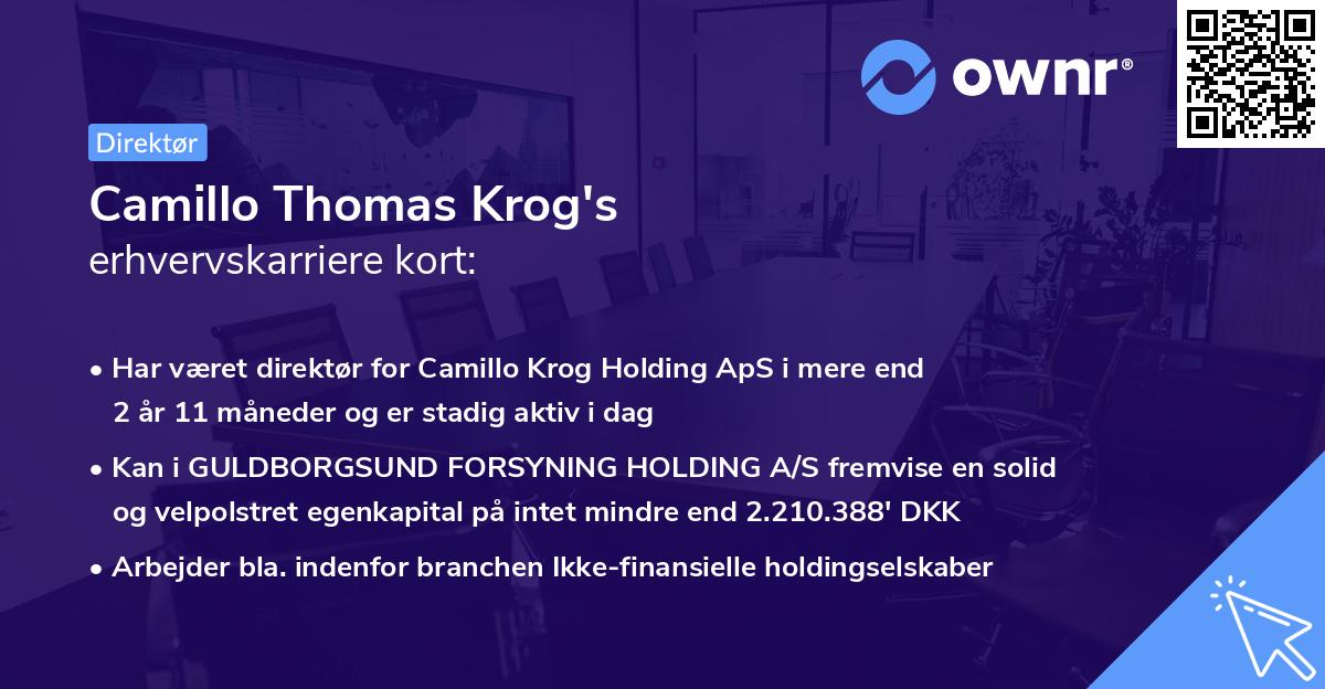 Camillo Thomas Krog's erhvervskarriere kort