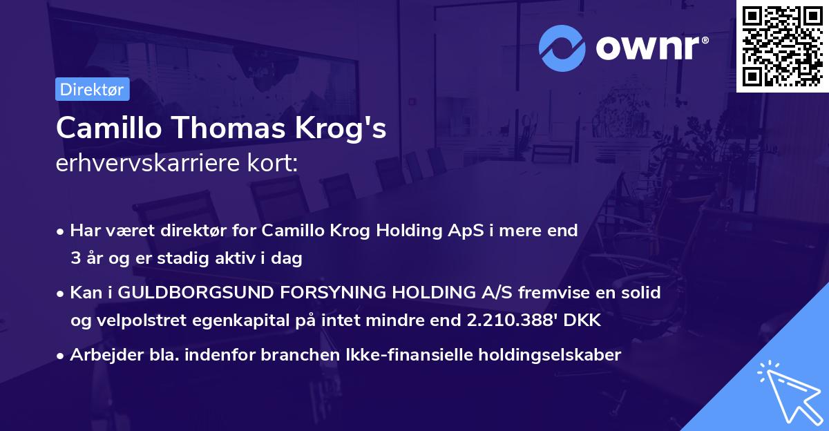 Camillo Thomas Krog's erhvervskarriere kort