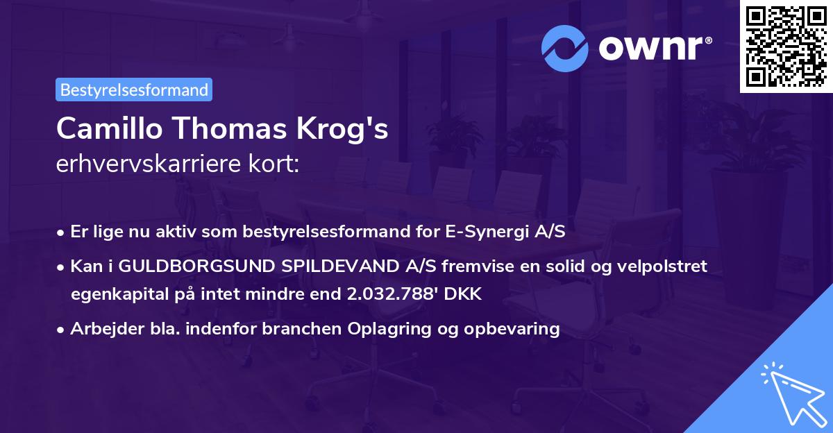 Camillo Thomas Krog's erhvervskarriere kort