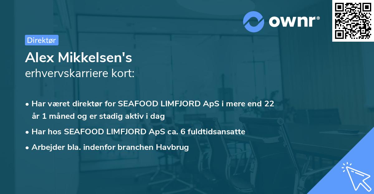 Alex Mikkelsen's erhvervskarriere kort