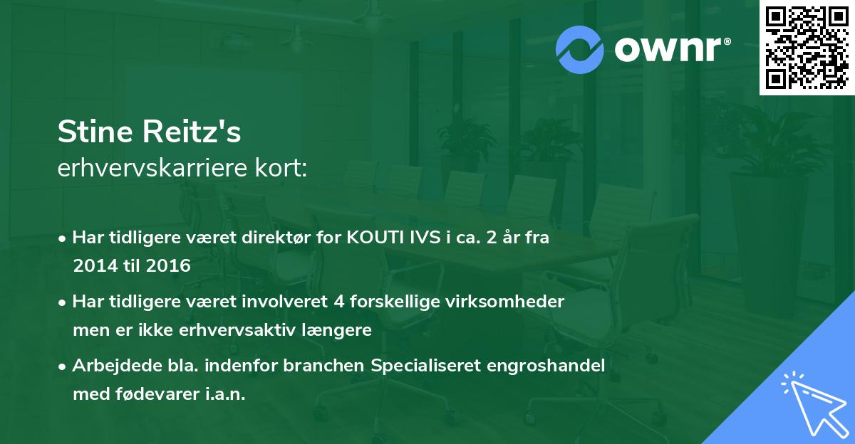 Stine Reitz's erhvervskarriere kort