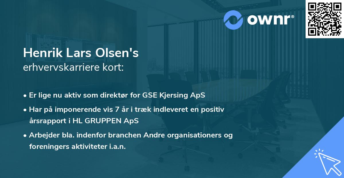 Henrik Lars Olsen's erhvervskarriere kort