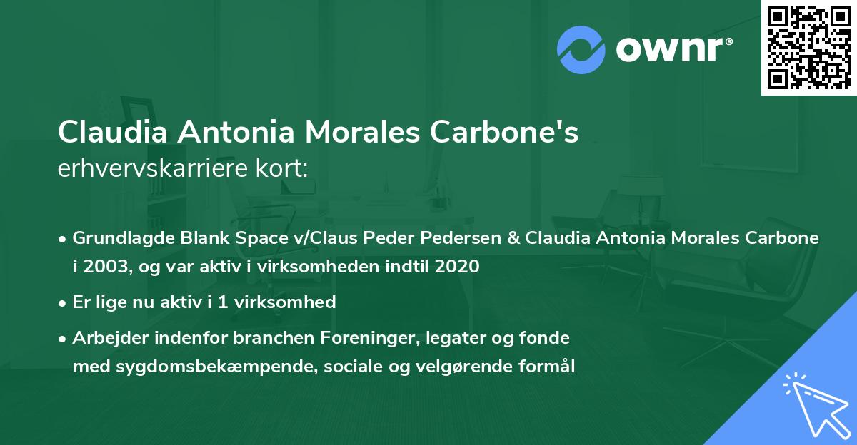 Claudia Antonia Morales Carbone's erhvervskarriere kort