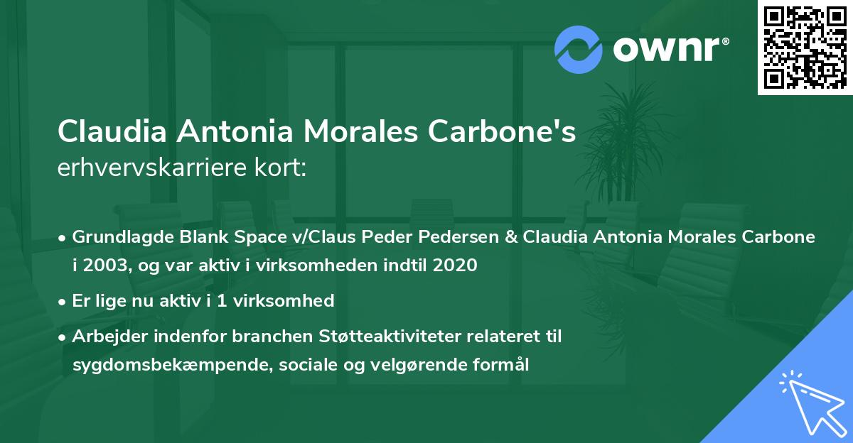 Claudia Antonia Morales Carbone's erhvervskarriere kort