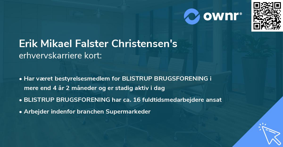 Erik Mikael Falster Christensen's erhvervskarriere kort