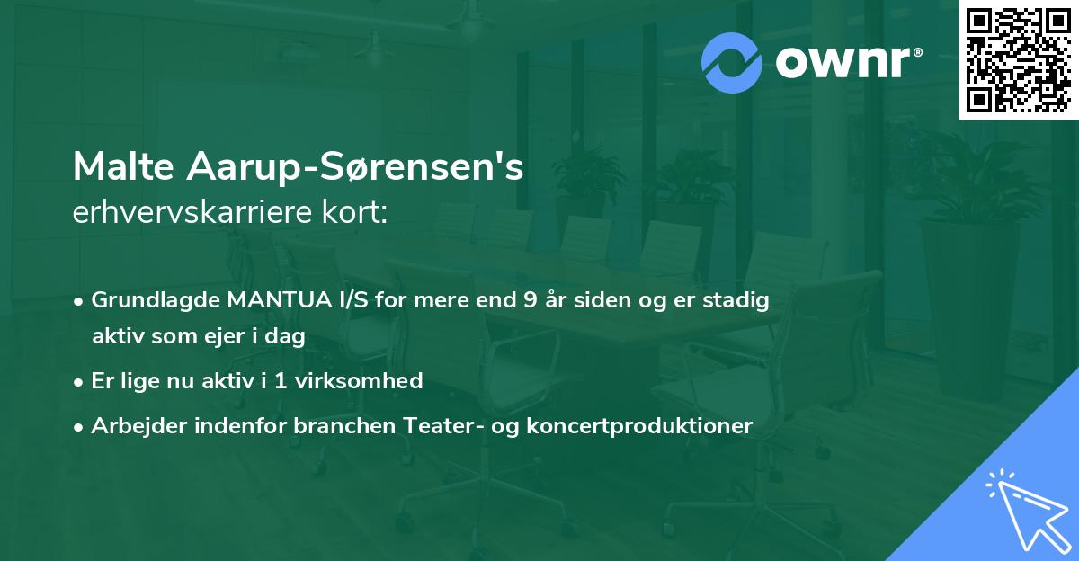 Malte Aarup-Sørensen's erhvervskarriere kort