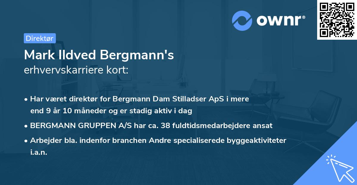 Mark Ildved Bergmann's erhvervskarriere kort