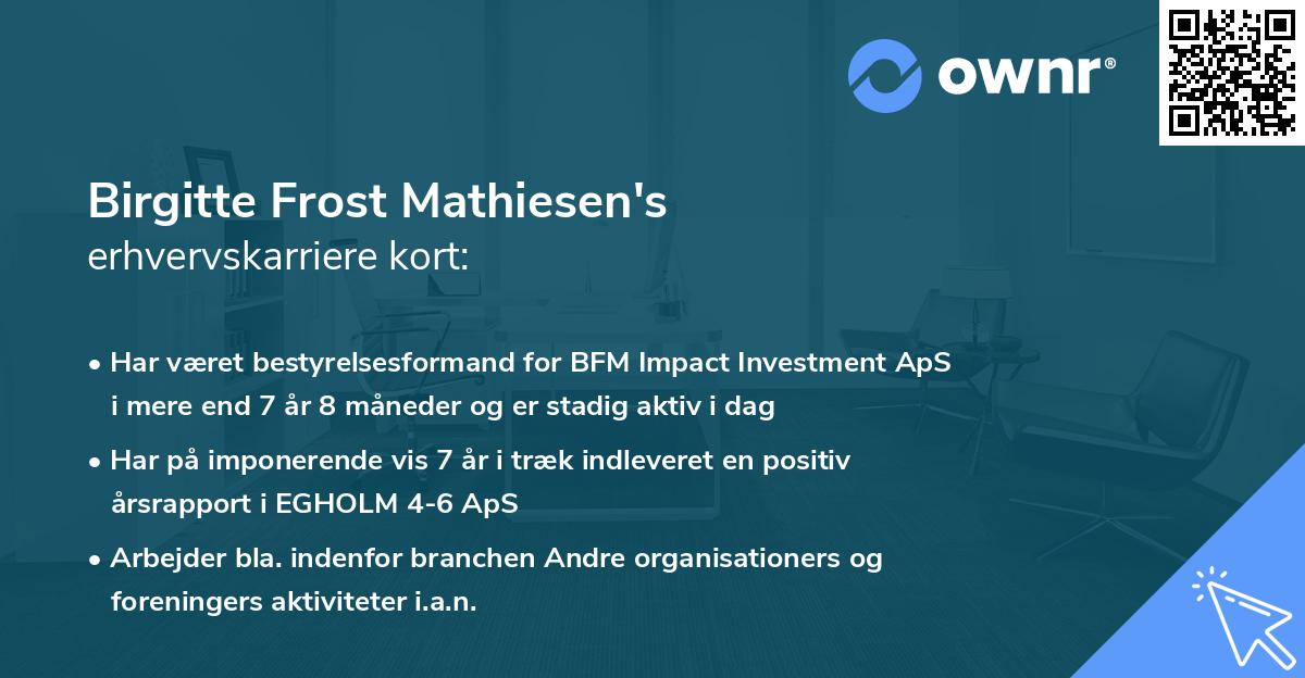 Birgitte Frost Mathiesen's erhvervskarriere kort