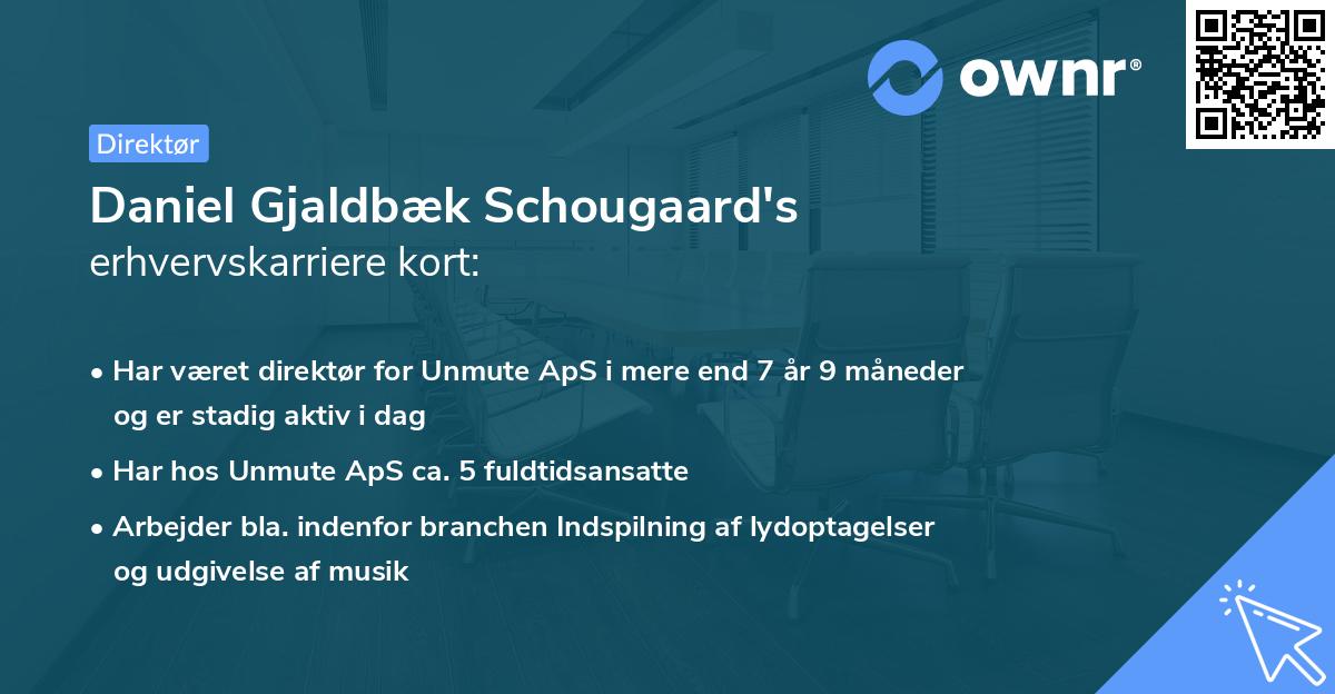 Daniel Gjaldbæk Schougaard's erhvervskarriere kort